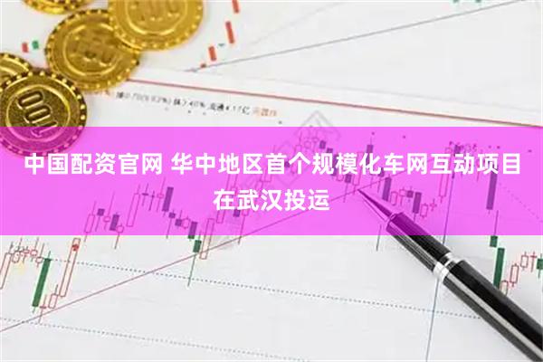 中国配资官网 华中地区首个规模化车网互动项目在武汉投运