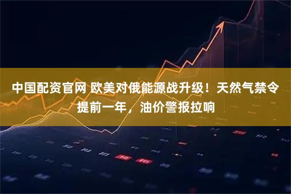 中国配资官网 欧美对俄能源战升级！天然气禁令提前一年，油价警报拉响
